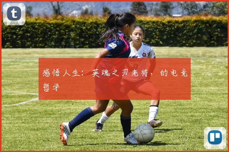 感悟人生:英魂之刃老将,的电竞哲学